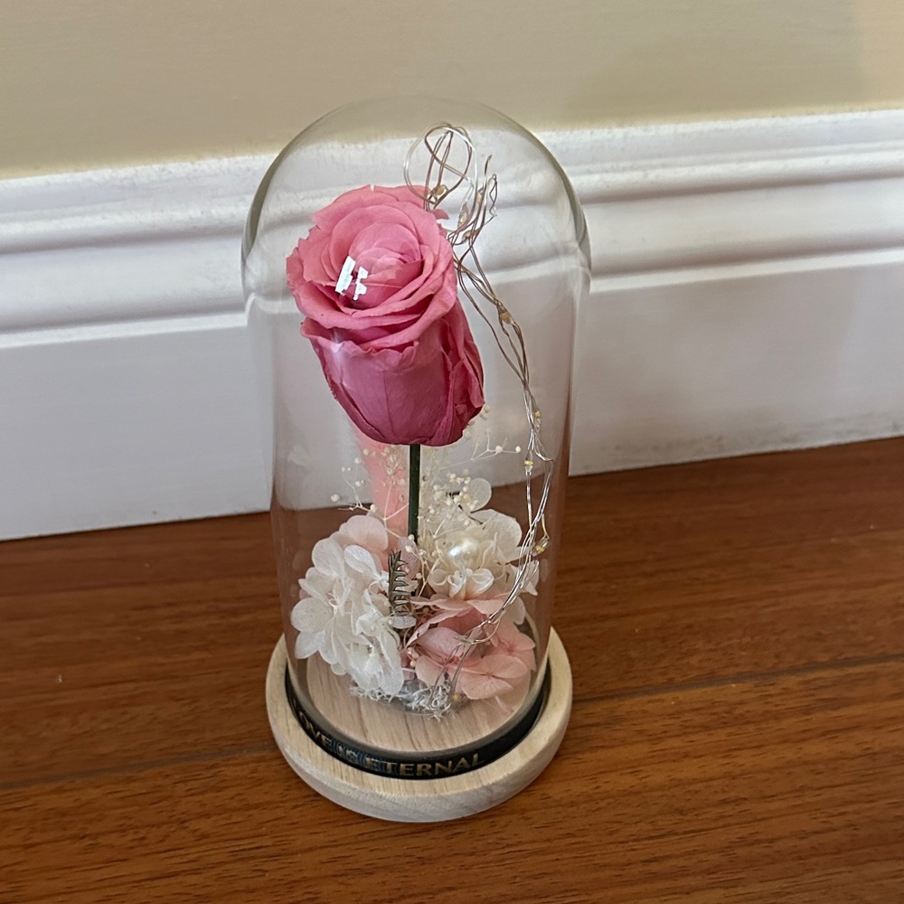 Enchanted Pink Rose in Glass Dome with LED lights and wooden base decor